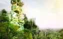 EcoPressed